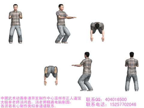 ʮʽ̫ȭʾ